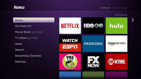 how to update software on roku tv: exploring the nuances of Roku TV firmware updates